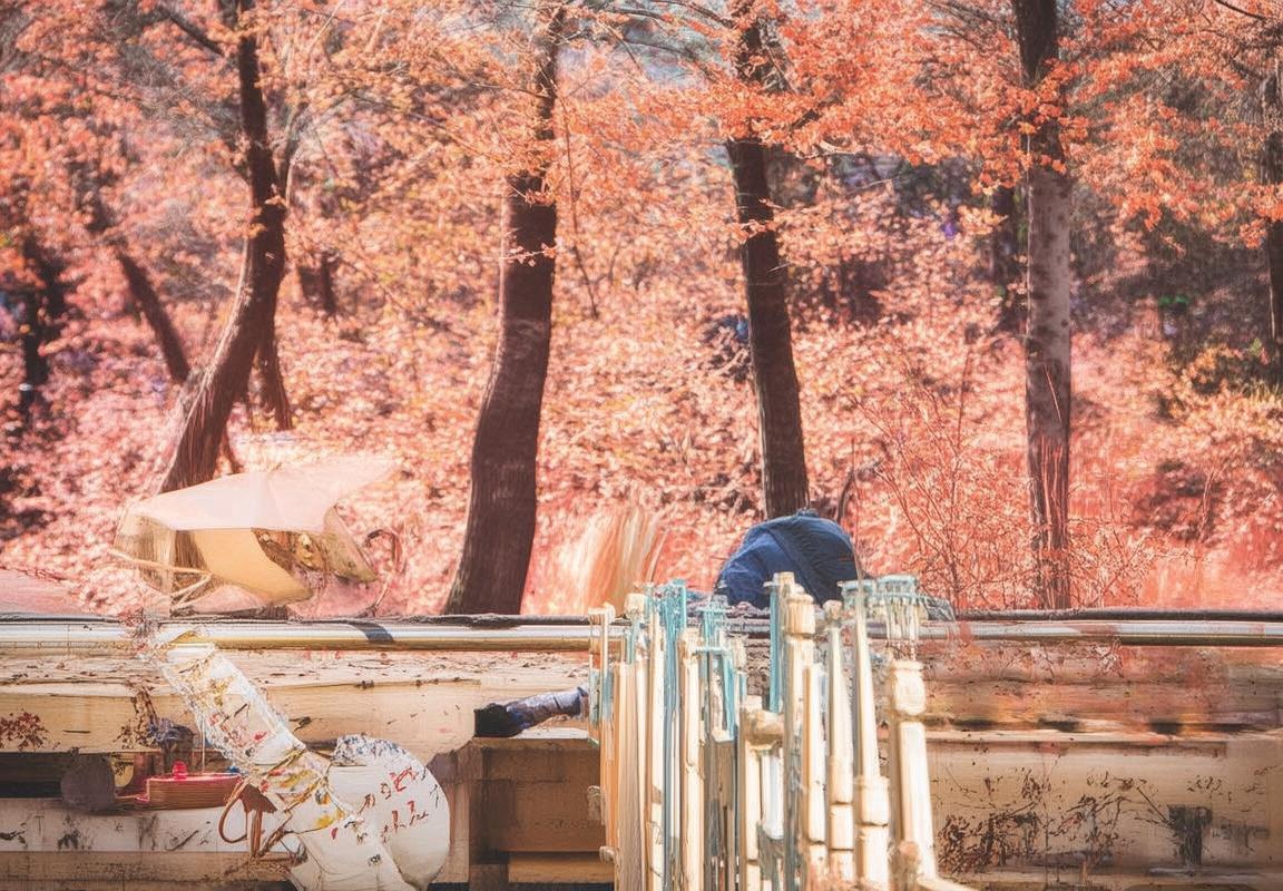 法马利康VS布拉加：主场焦点战全力争夺三分